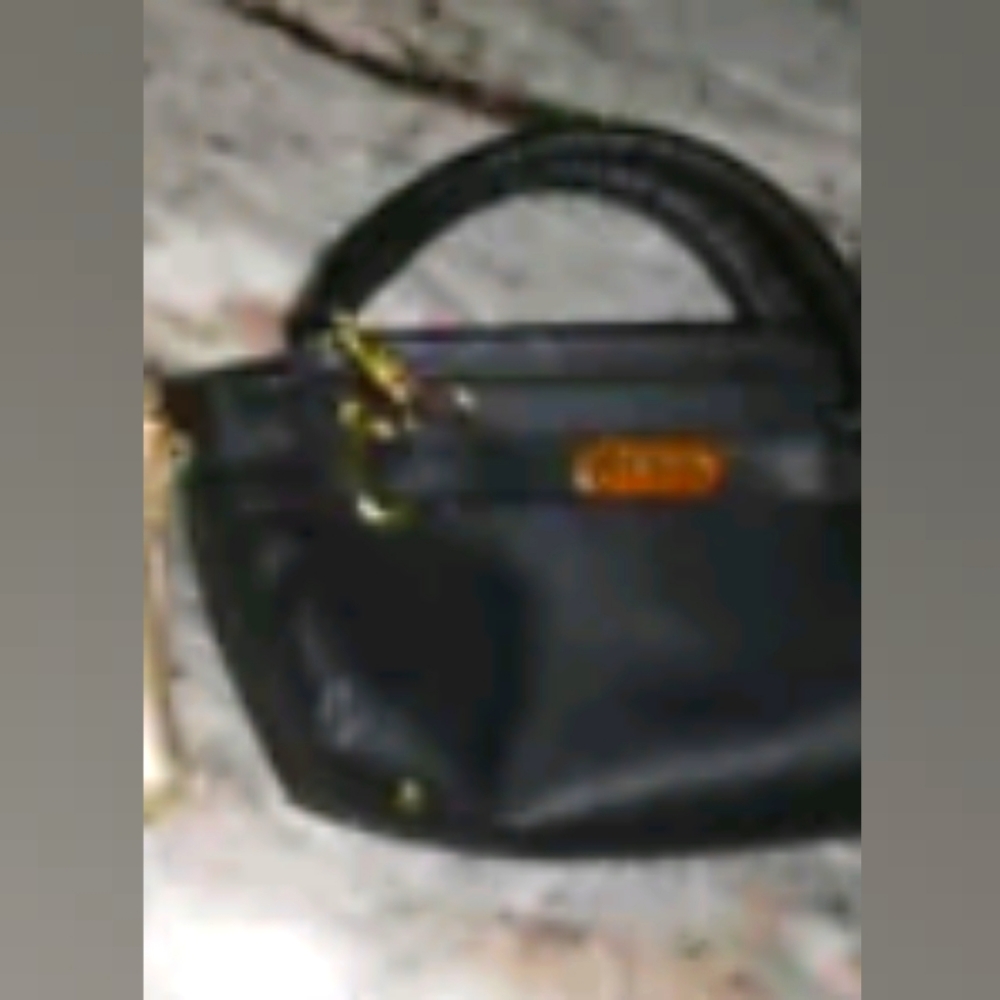 Large cell phone purse by Lori Greiner